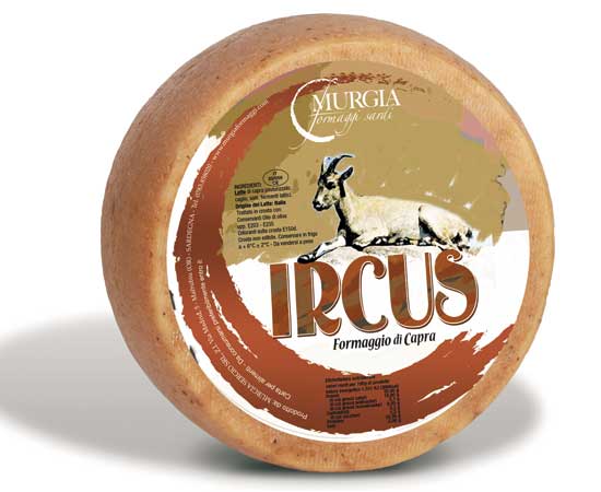 Ircus_2019WEB Ircus_2019WEB