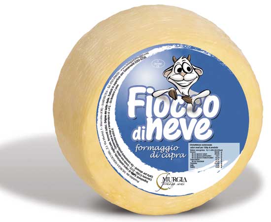 fiocNeve2019WEB